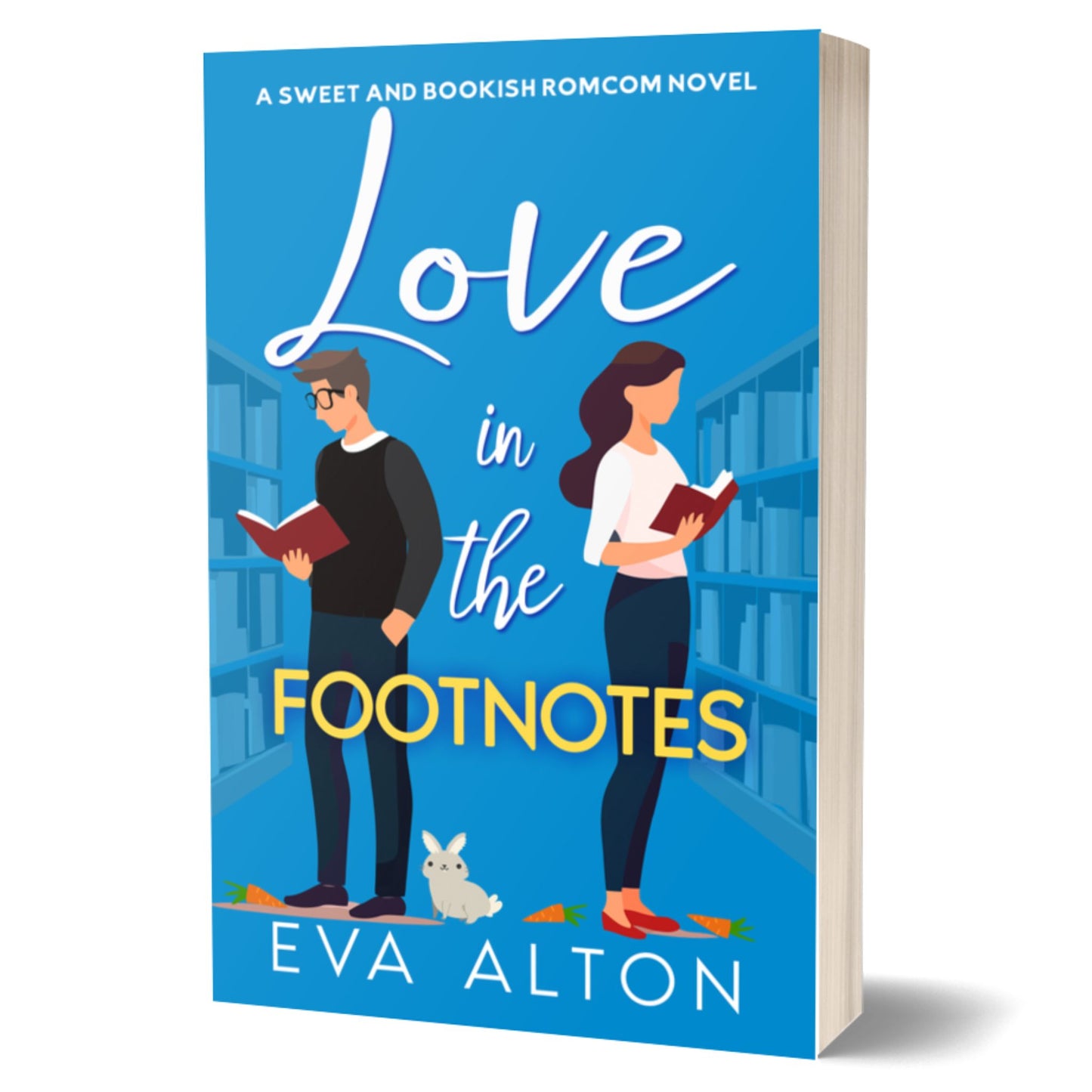 love in the footnotes eva alton romcom novel