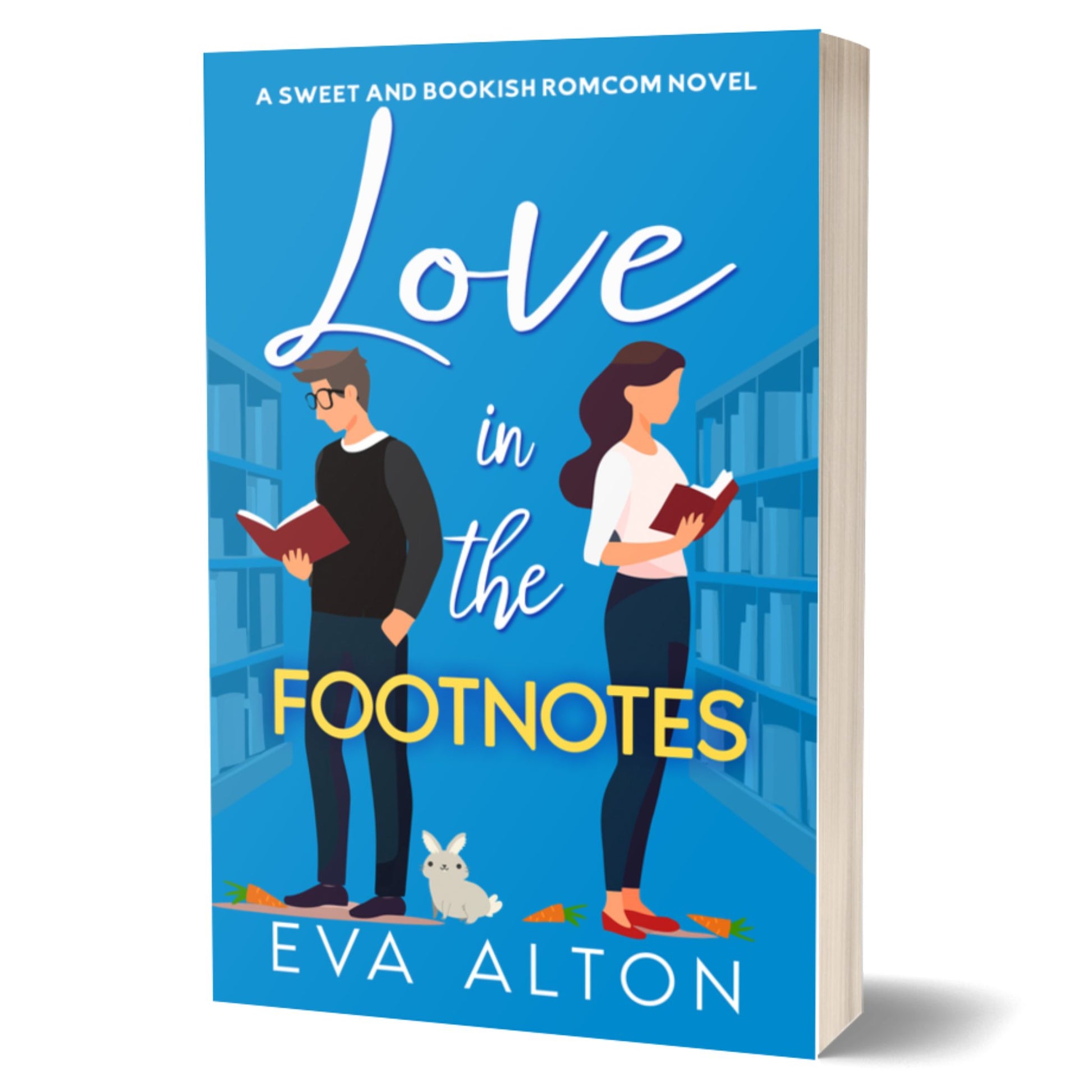 love in the footnotes eva alton romcom novel